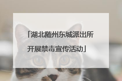 湖北随州东城派出所开展禁毒宣传活动