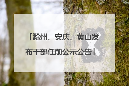 滁州、安庆、黄山发布干部任前公示公告