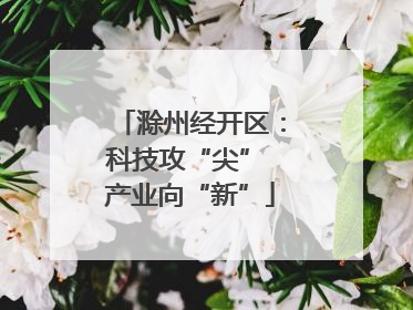 滁州经开区：科技攻“尖” 产业向“新”