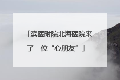滨医附院北海医院来了一位“心朋友”