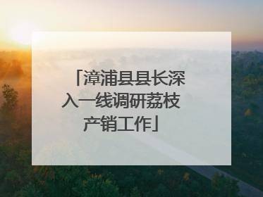 漳浦县县长深入一线调研荔枝产销工作