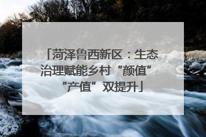 菏泽鲁西新区：生态治理赋能乡村“颜值”“产值”双提升