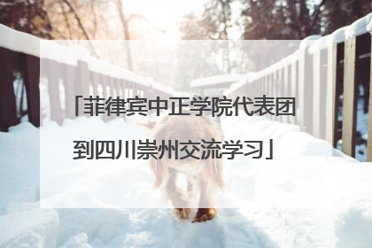 菲律宾中正学院代表团到四川崇州交流学习