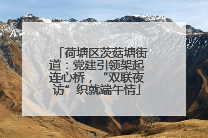 荷塘区茨菇塘街道：党建引领架起连心桥，“双联夜访”织就端午情