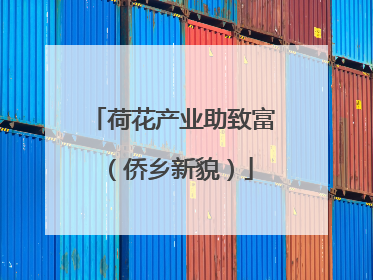 荷花产业助致富（侨乡新貌）