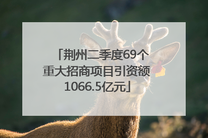 荆州二季度69个重大招商项目引资额1066.5亿元