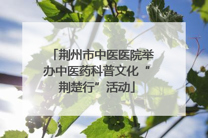 荆州市中医医院举办中医药科普文化“荆楚行”活动