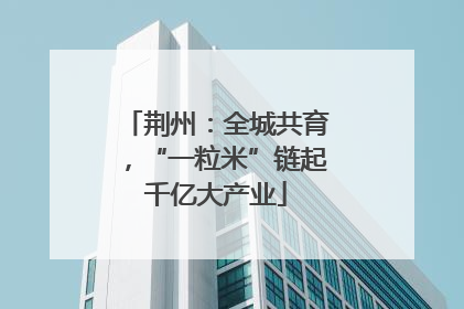 荆州：全城共育，“一粒米”链起千亿大产业
