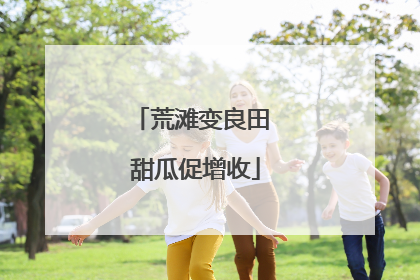 荒滩变良田 甜瓜促增收