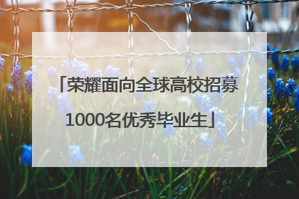 荣耀面向全球高校招募1000名优秀毕业生