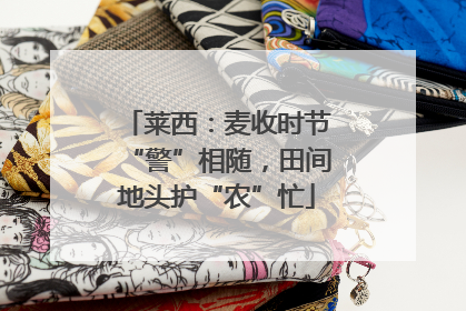莱西：麦收时节“警”相随，田间地头护“农”忙