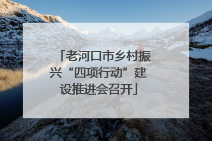 老河口市乡村振兴“四项行动”建设推进会召开