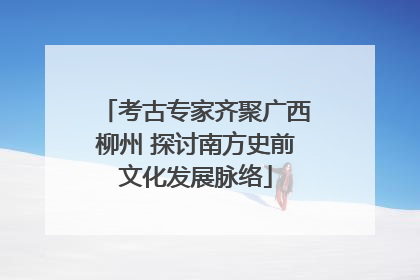 考古专家齐聚广西柳州 探讨南方史前文化发展脉络