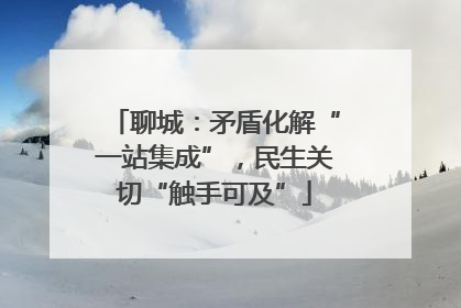 聊城：矛盾化解“一站集成”，民生关切“触手可及”