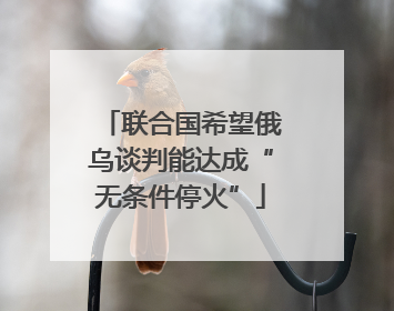 联合国希望俄乌谈判能达成“无条件停火”