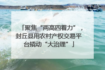 聚焦“两高四着力”，封丘县用农村产权交易平台撬动“大治理”