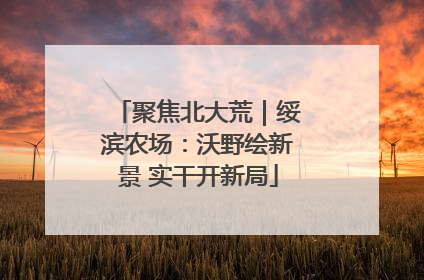 聚焦北大荒｜绥滨农场：沃野绘新景 实干开新局