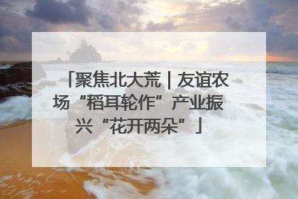 聚焦北大荒｜友谊农场“稻耳轮作”产业振兴“花开两朵”