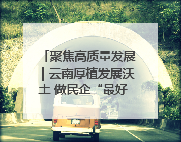聚焦高质量发展｜云南厚植发展沃土 做民企“最好合伙人”