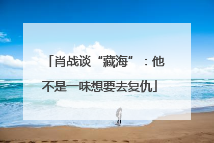 肖战谈“藏海”：他不是一味想要去复仇