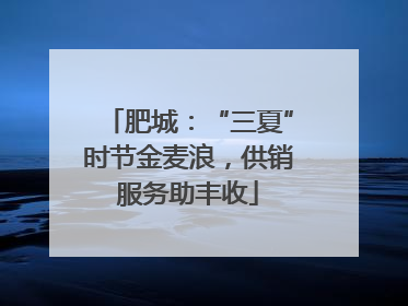肥城：“三夏”时节金麦浪，供销服务助丰收