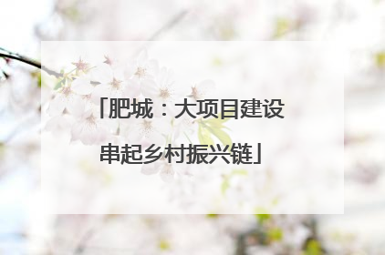 肥城：大项目建设串起乡村振兴链