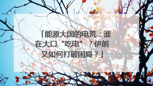 能源大国的电荒：谁在大口“吃电”？伊朗又如何打破困局？