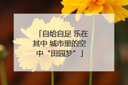 自给自足 乐在其中 城市里的空中“田园梦”