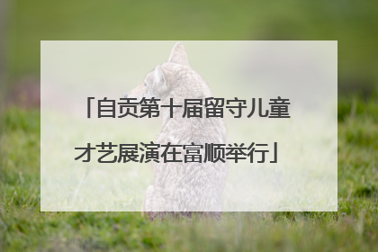 自贡第十届留守儿童才艺展演在富顺举行