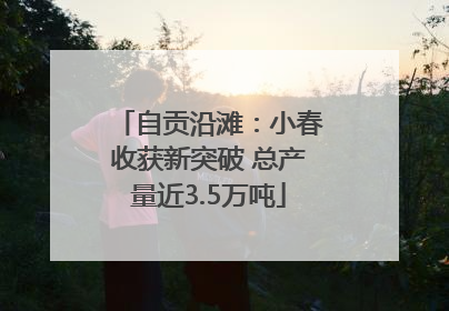 自贡沿滩：小春收获新突破 总产量近3.5万吨