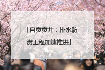 自贡贡井：排水防涝工程加速推进
