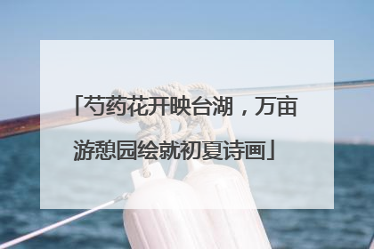芍药花开映台湖，万亩游憩园绘就初夏诗画