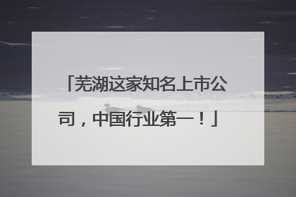 芜湖这家知名上市公司，中国行业第一！