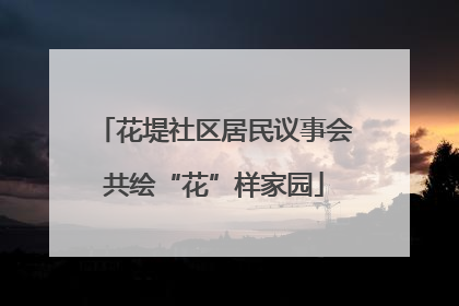 花堤社区居民议事会共绘“花”样家园