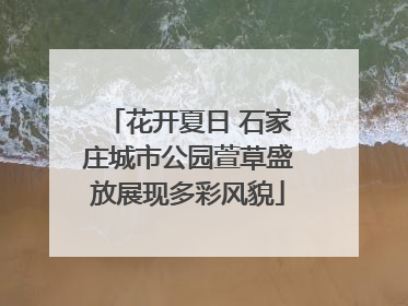 花开夏日 石家庄城市公园萱草盛放展现多彩风貌