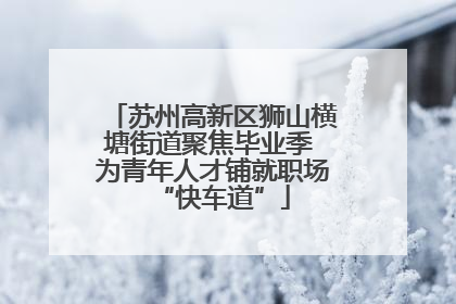 苏州高新区狮山横塘街道聚焦毕业季 为青年人才铺就职场“快车道”