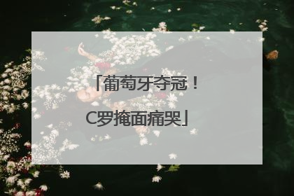 葡萄牙夺冠！C罗掩面痛哭