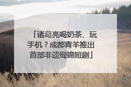 诸葛亮喝奶茶、玩手机？成都青羊推出首部非遗蜀锦短剧