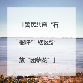 警民共育“石榴籽” 辖区绽放“团结花”