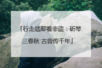 行走赣鄱看非遗：斫琴三春秋 古音传千年