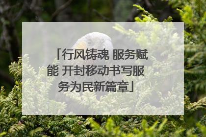 行风铸魂 服务赋能 开封移动书写服务为民新篇章