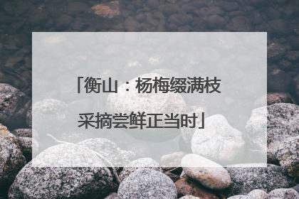 衡山：杨梅缀满枝 采摘尝鲜正当时