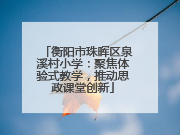 衡阳市珠晖区泉溪村小学：聚焦体验式教学，推动思政课堂创新