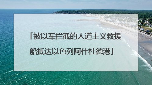被以军拦截的人道主义救援船抵达以色列阿什杜德港