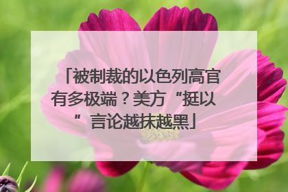 被制裁的以色列高官有多极端？美方“挺以”言论越抹越黑