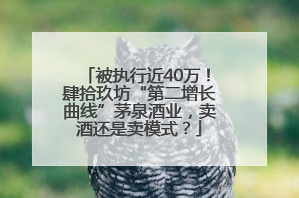 被执行近40万！肆拾玖坊“第二增长曲线”茅泉酒业，卖酒还是卖模式？