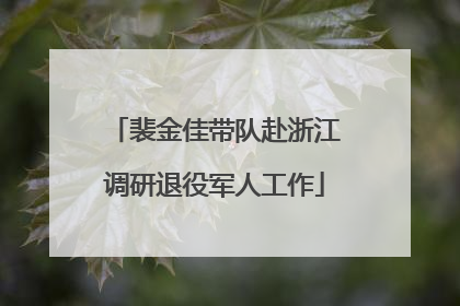 裴金佳带队赴浙江调研退役军人工作