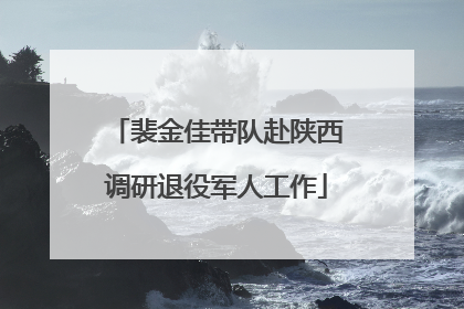 裴金佳带队赴陕西调研退役军人工作