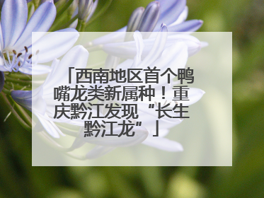 西南地区首个鸭嘴龙类新属种！重庆黔江发现“长生黔江龙”