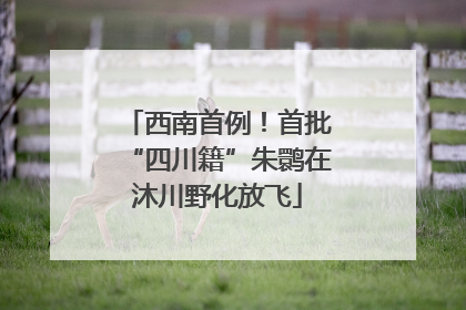 西南首例！首批“四川籍”朱鹮在沐川野化放飞